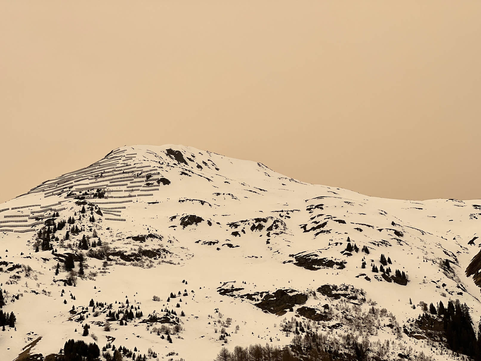 Saharastaub färbt im Februar 2021 Himmel und Schnee rötlich, wie hier am Dorfberg über Davos. (Foto: M. Schneebeli / SLF)